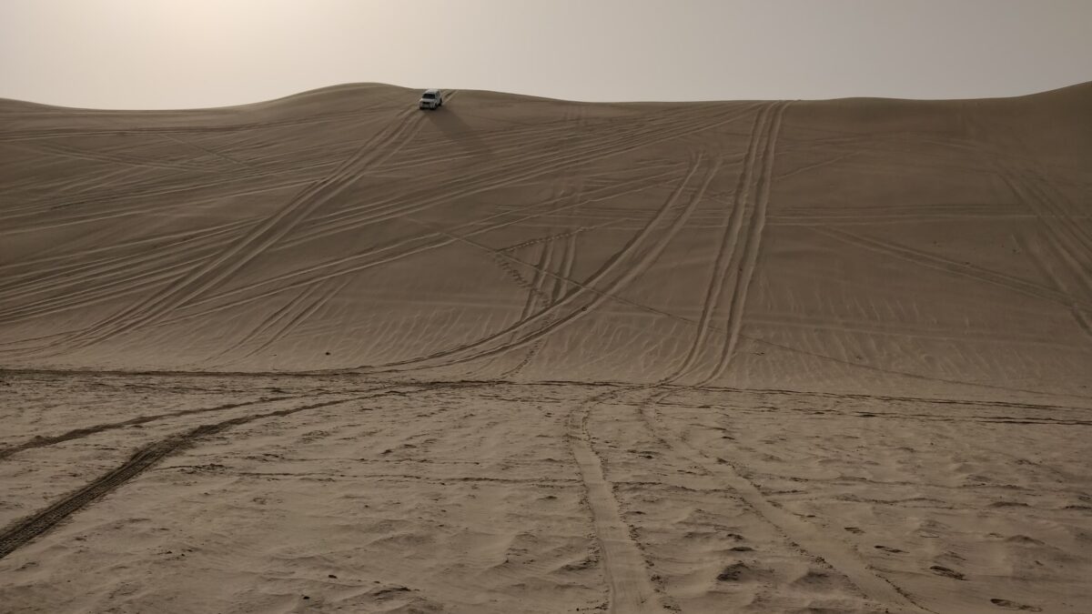 Pustynne safari w Katarze